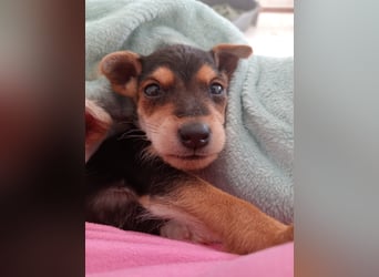 Marco wünscht sich seine eigene Familie