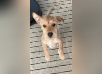 Kleine Maria sucht ihre Menschen