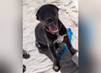 Süße Mimi möchte dein Herz stehlen