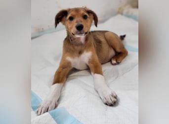 Willow möchte mit dir ins Leben starten!