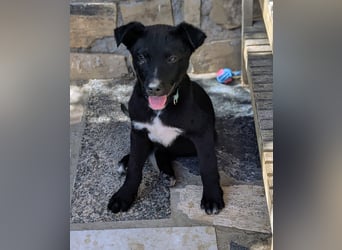 Milo wünscht sich eine eigene Familie