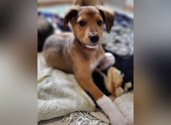 Willow möchte mit dir ins Leben starten!