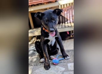 Süße Mimi möchte dein Herz stehlen