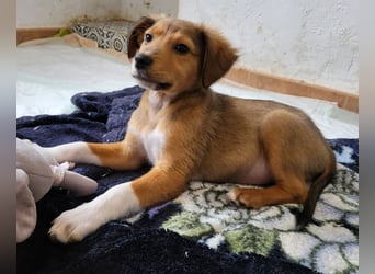 Willow möchte mit dir ins Leben starten!