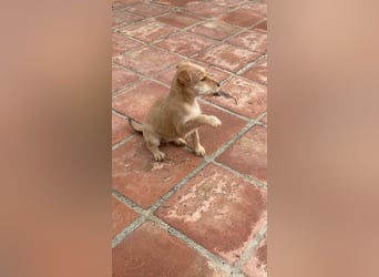 Kleine Maria sucht ihre Menschen