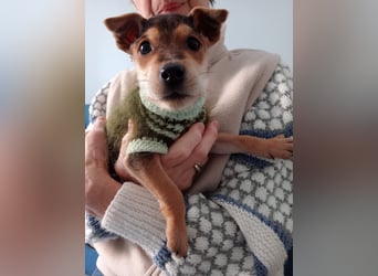 Marco wünscht sich seine eigene Familie