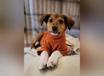 Willow möchte mit dir ins Leben starten!