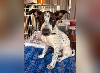 Cassidy wünscht sich eine Familie