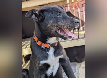 Süße Mimi möchte dein Herz stehlen