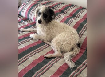 Bouncy Benni wartet auf seine Familie