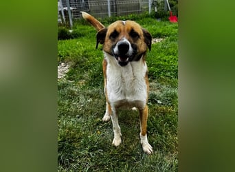 Charlie sucht seine Familie