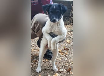  MONTY – VOM KLEINEN ANGSTHASEN ZUM GROSSEN HERZENSBRECHER! ❤️