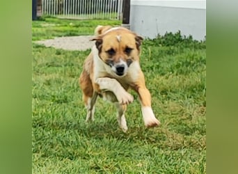 Charlie sucht seine Familie