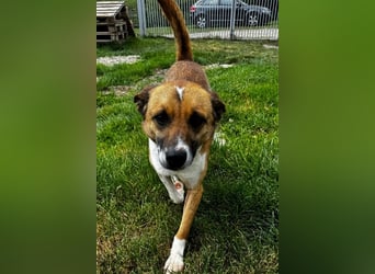 Charlie sucht seine Familie