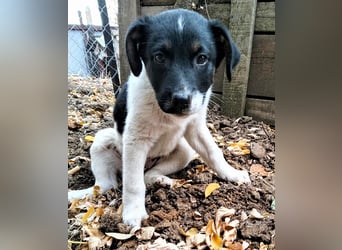  MONTY – VOM KLEINEN ANGSTHASEN ZUM GROSSEN HERZENSBRECHER! ❤️