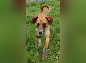 Charlie sucht seine Familie