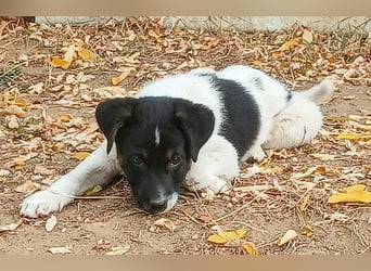  MONTY – VOM KLEINEN ANGSTHASEN ZUM GROSSEN HERZENSBRECHER! ❤️