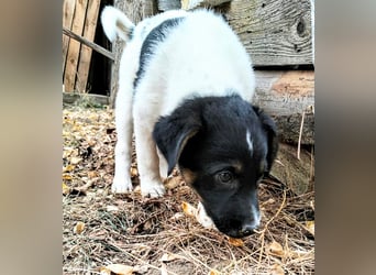  MONTY – VOM KLEINEN ANGSTHASEN ZUM GROSSEN HERZENSBRECHER! ❤️
