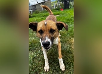 Charlie sucht seine Familie