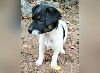  MONTY – VOM KLEINEN ANGSTHASEN ZUM GROSSEN HERZENSBRECHER! ❤️