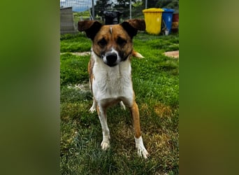 Charlie sucht seine Familie