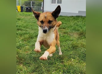 Charlie sucht seine Familie