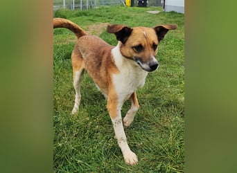 Charlie sucht seine Familie