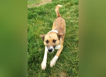 Charlie sucht seine Familie