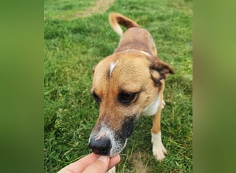 Charlie sucht seine Familie