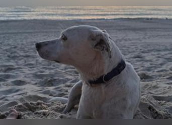 Yin und Yang, ein eng verbundenes Mutter Tochter Gespann