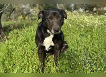 Yin und Yang, ein eng verbundenes Mutter Tochter Gespann