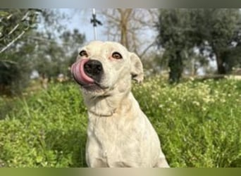 Yin und Yang, ein eng verbundenes Mutter Tochter Gespann