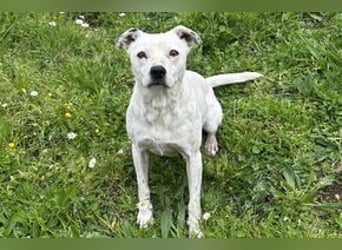 Yin und Yang, ein eng verbundenes Mutter Tochter Gespann