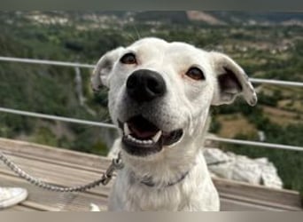 Yin und Yang, ein eng verbundenes Mutter Tochter Gespann