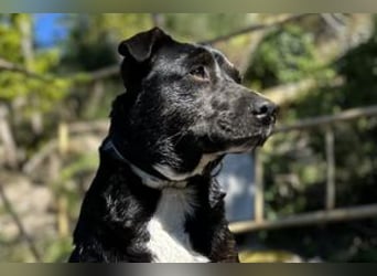 Yin und Yang, ein eng verbundenes Mutter Tochter Gespann