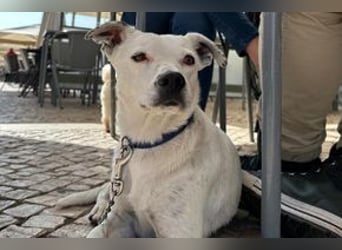 Yin und Yang, ein eng verbundenes Mutter Tochter Gespann