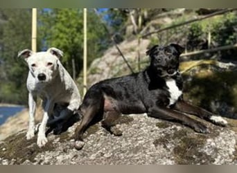 Yin und Yang, ein eng verbundenes Mutter Tochter Gespann