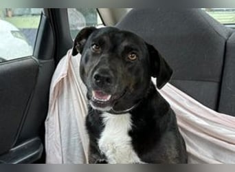 Yin und Yang, ein eng verbundenes Mutter Tochter Gespann