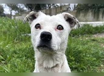 Yin und Yang, ein eng verbundenes Mutter Tochter Gespann