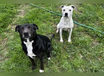 Yin und Yang, ein eng verbundenes Mutter Tochter Gespann