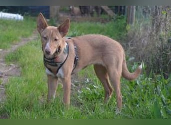 Nubi, eine sanfte kleine Entdeckerin mit vorsichtiger Neugier