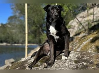 Yin und Yang, ein eng verbundenes Mutter Tochter Gespann