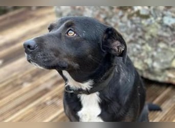 Yin und Yang, ein eng verbundenes Mutter Tochter Gespann