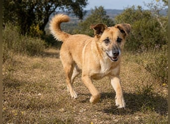 Sunny – eine selbstbewusste Dame