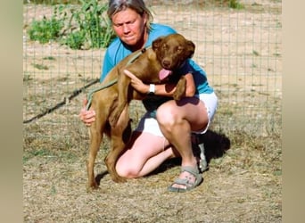 Amendoa - ein kesses Mädchen