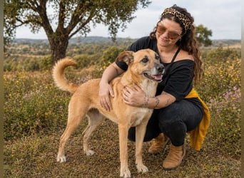 Sunny – eine selbstbewusste Dame