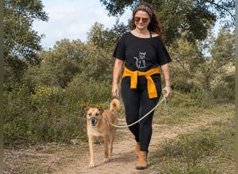 Sunny – eine selbstbewusste Dame