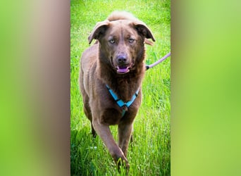 Amendoa - ein kesses Mädchen