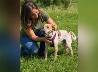 Amigo - möchte wieder dazugehören