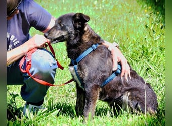 Amora - eine liebe Seele